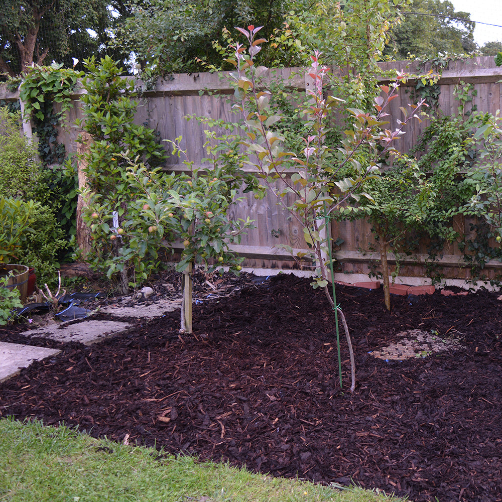 Garden with Weed Control Barrier